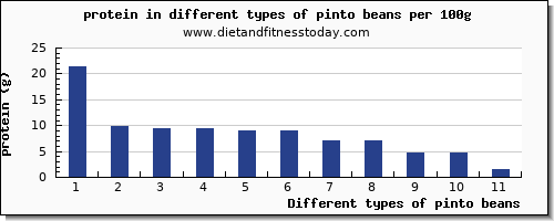 pinto beans nutritional value per 100g